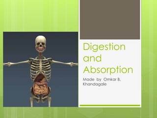 Digestion
and
Absorption
Made by Omkar B.
Khandagale
 