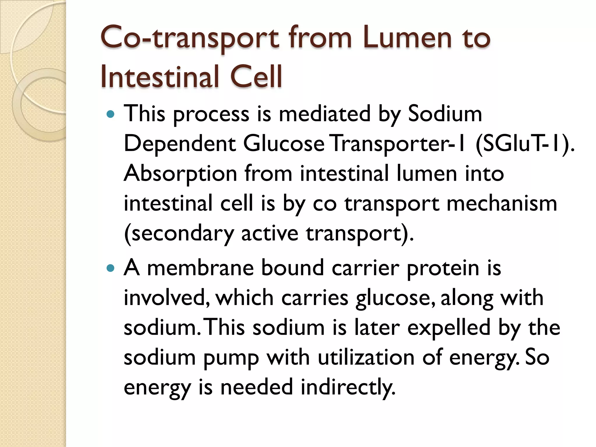 Co-transport from Lumen to
Intestinal Cell
 This process is mediated by Sodium
Dependent Glucose Transporter-1 (SGluT-1).
Absorption from intestinal lumen into
intestinal cell is by co transport mechanism
(secondary active transport).
 A membrane bound carrier protein is
involved, which carries glucose, along with
sodium.This sodium is later expelled by the
sodium pump with utilization of energy. So
energy is needed indirectly.
 