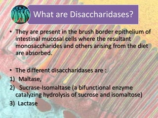 What are Disaccharidases?
• They are present in the brush border epithelium of
  intestinal mucosal cells where the result...