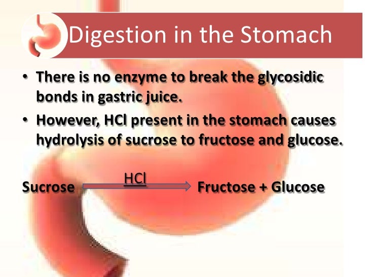 Digestion and absorption of carbohydrates