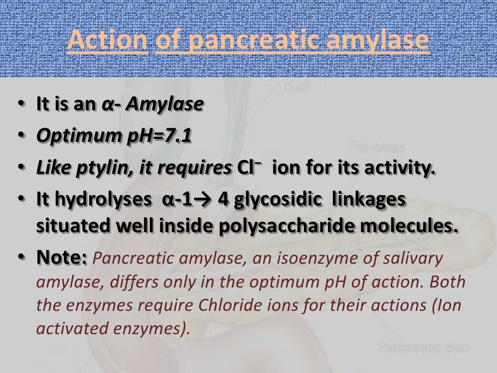 Digestion and absorption of carbohydrates