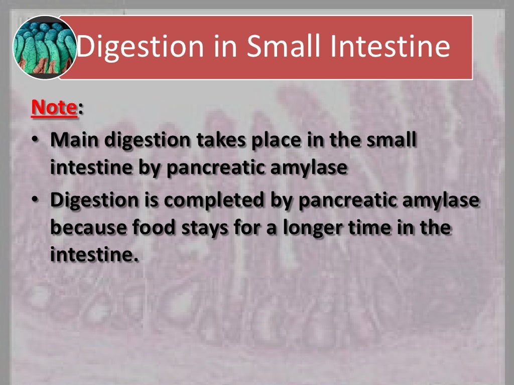 Digestion and absorption of carbohydrates