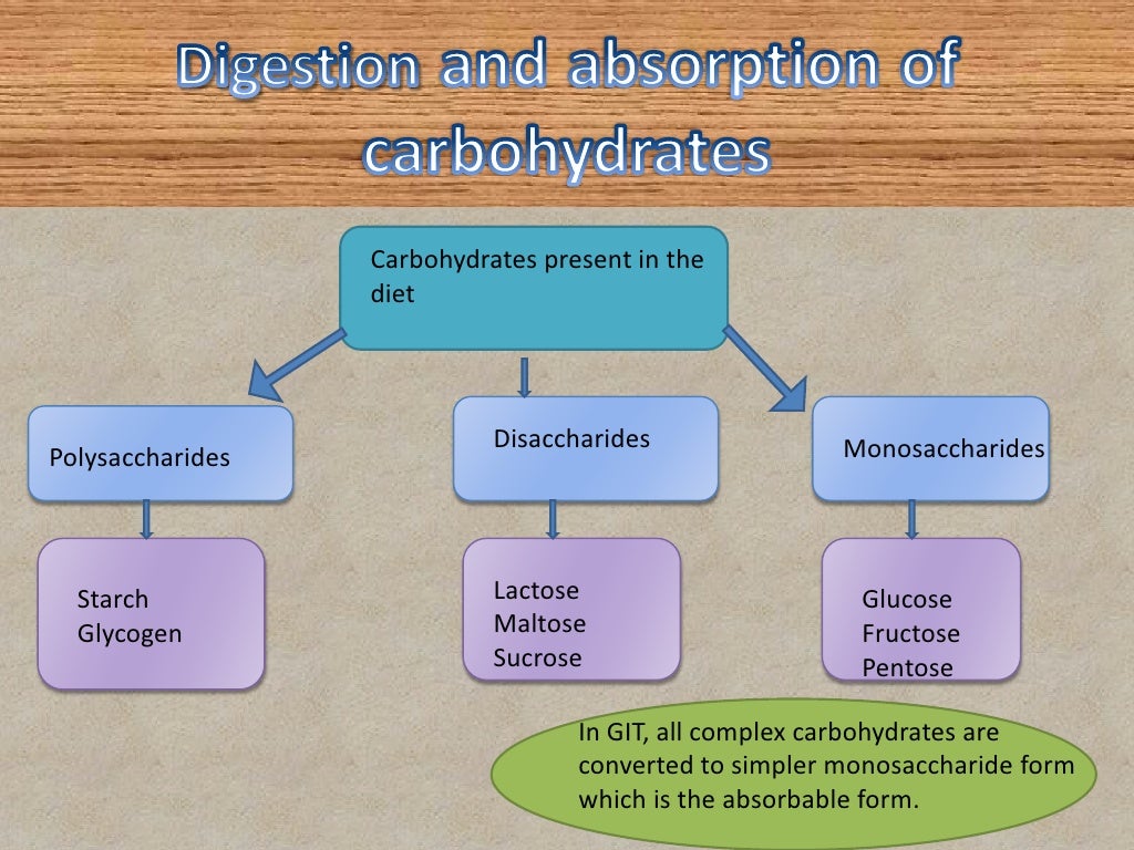 Digestion and absorption of carbohydrates