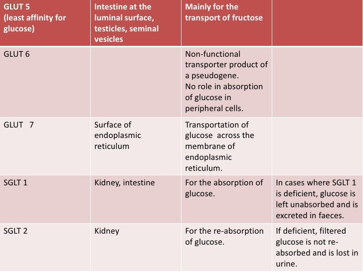 Digestion and absorption of carbohydrates