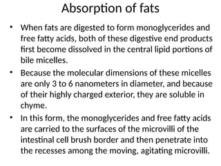Comprehensive Overview of Fat Digestion and Absorption Processes in the ...