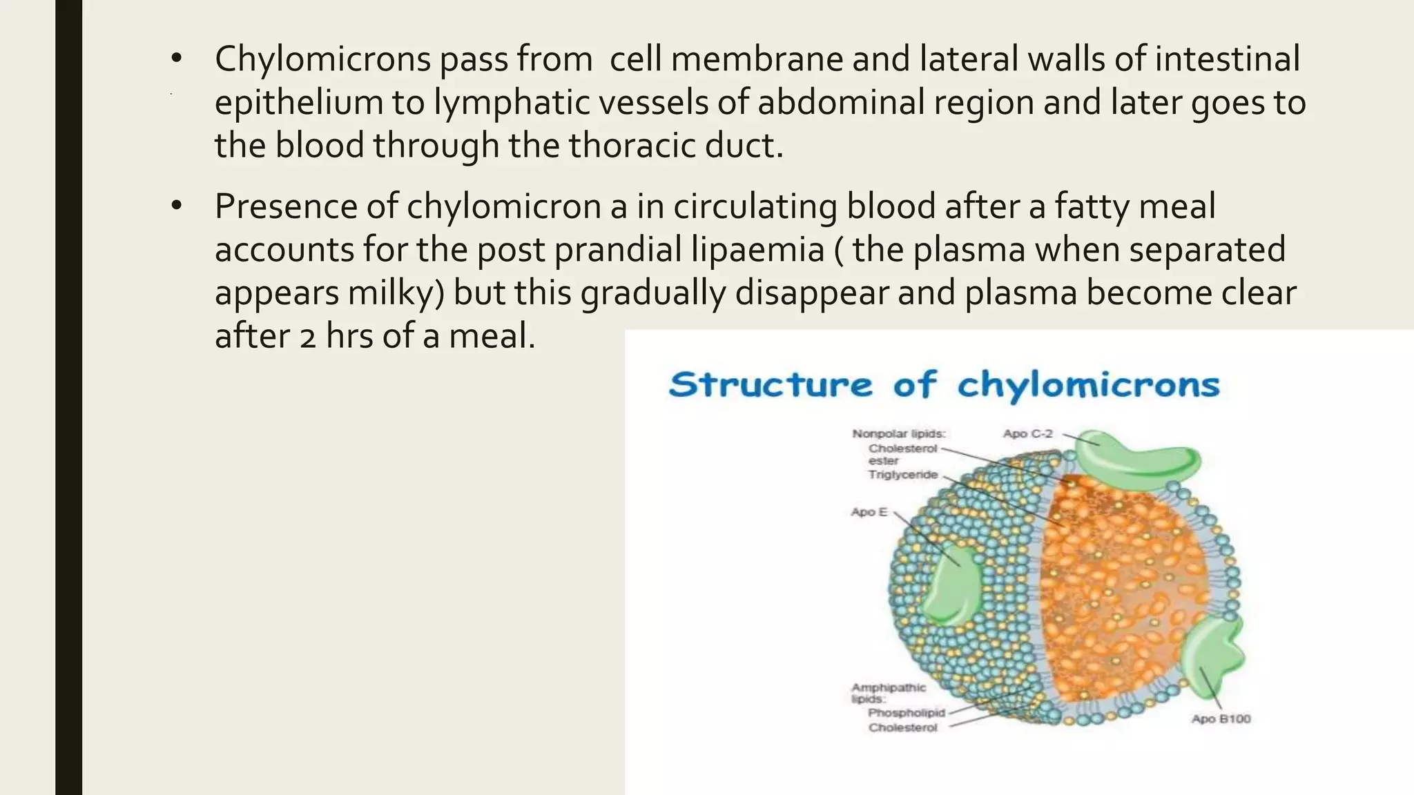 Digestion and absorption of lipid | PPTX