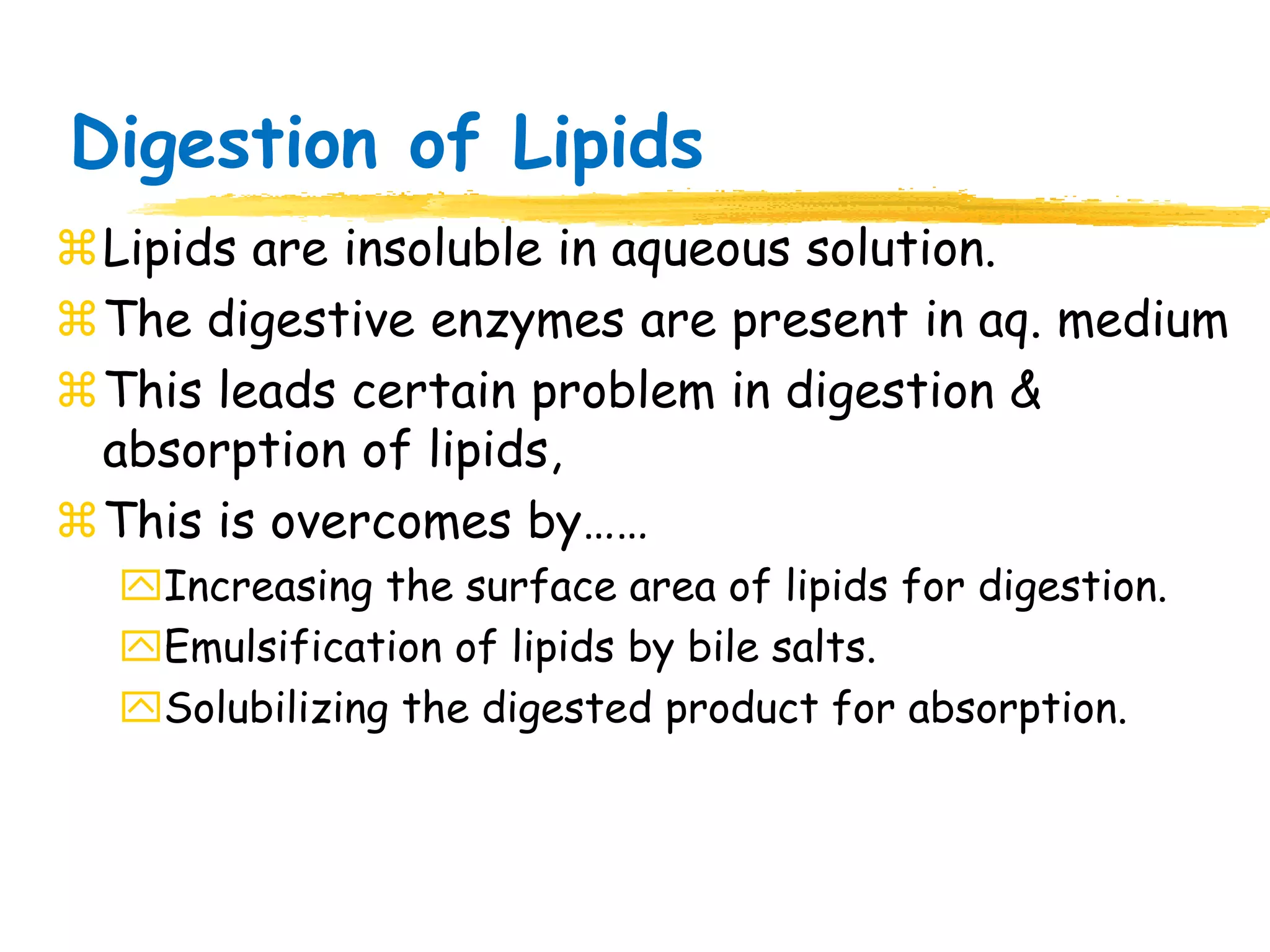Digestion and absorption of lipids | PPSX