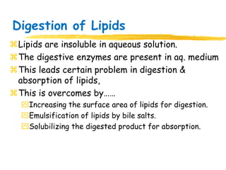 Digestion and absorption of lipids | PPSX