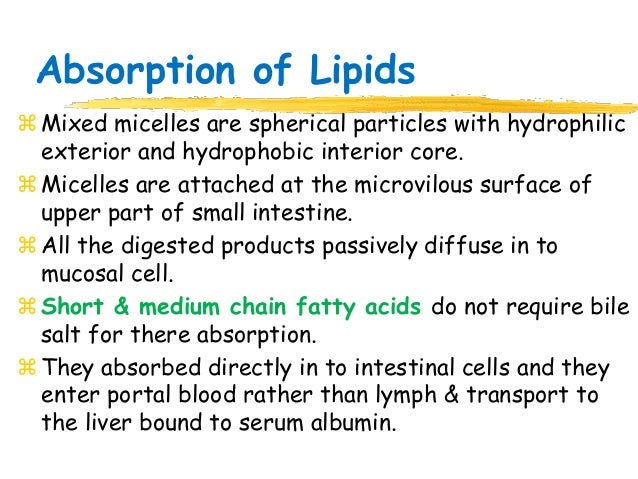 Digestion And Absorption Of Lipids