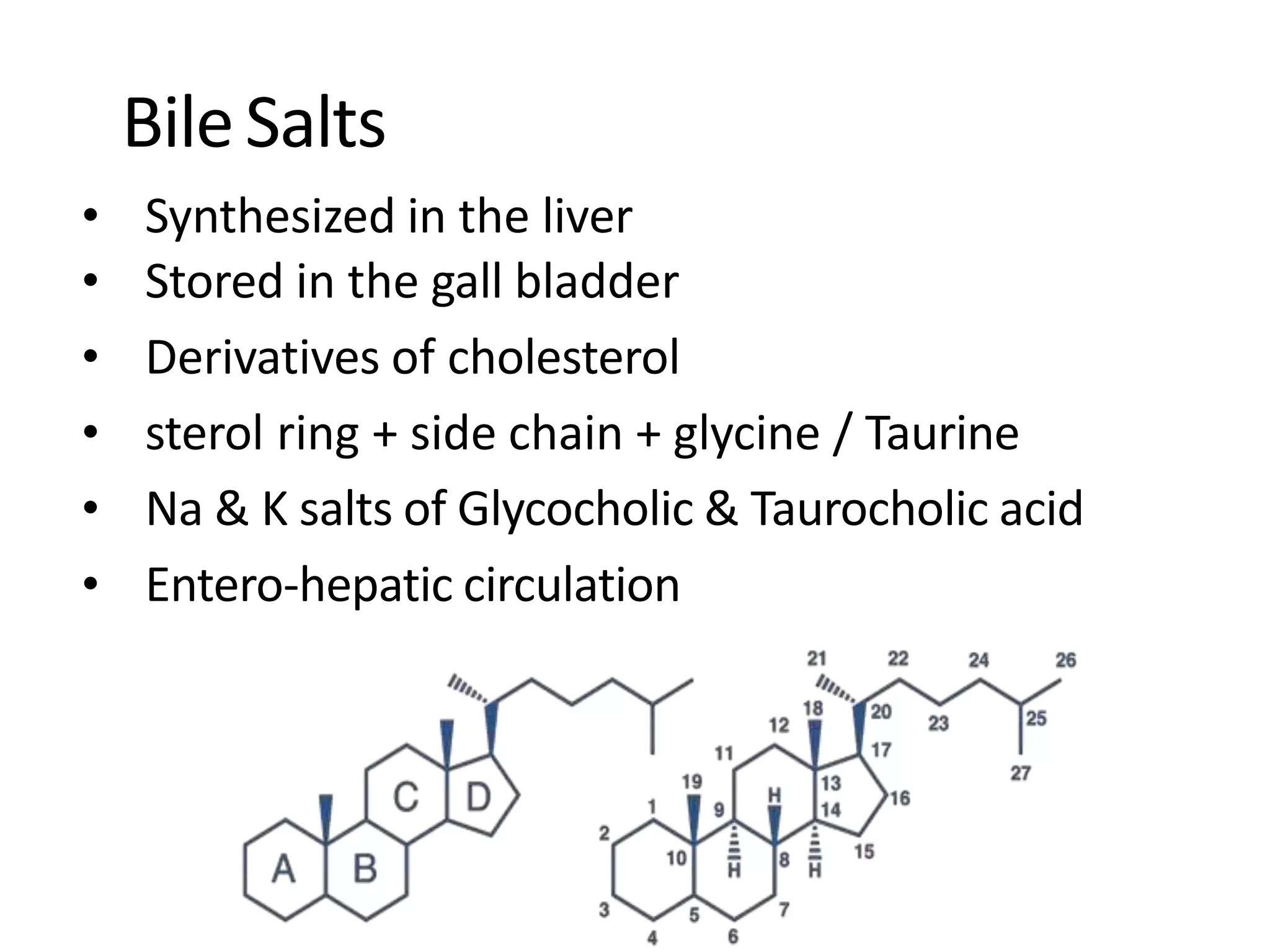 Digestion and absorption of lipids | PPTX