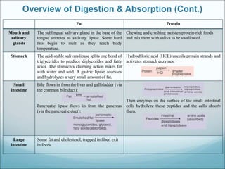 digestion_and_absorption_of_nutrients.ppt