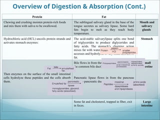 digestion_and_absorption_of_nutrients.ppt
