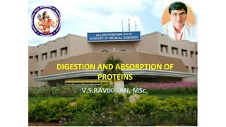 DIGESTION AND ABSORPTION OF
PROTEINS
V.S.RAVIKIRAN, MSc.
 
