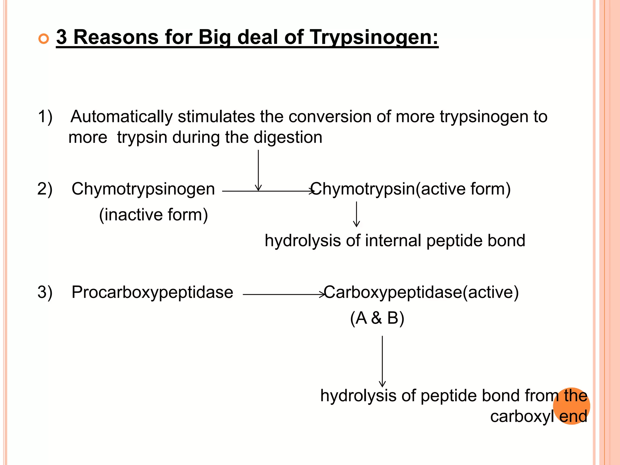 Digestion and absorption of proteins | PPTX