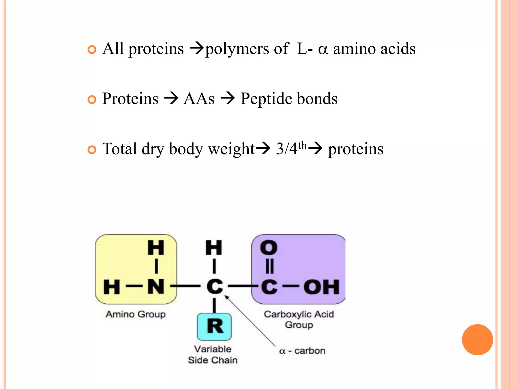 Digestion and absorption of proteins | PPTX