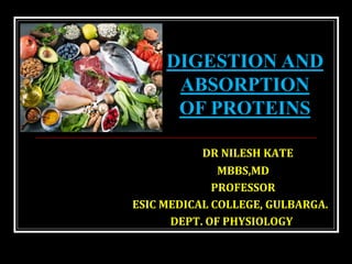 DR NILESH KATE
MBBS,MD
PROFESSOR
ESIC MEDICAL COLLEGE, GULBARGA.
DEPT. OF PHYSIOLOGY
DIGESTION AND
ABSORPTION
OF PROTEINS
 