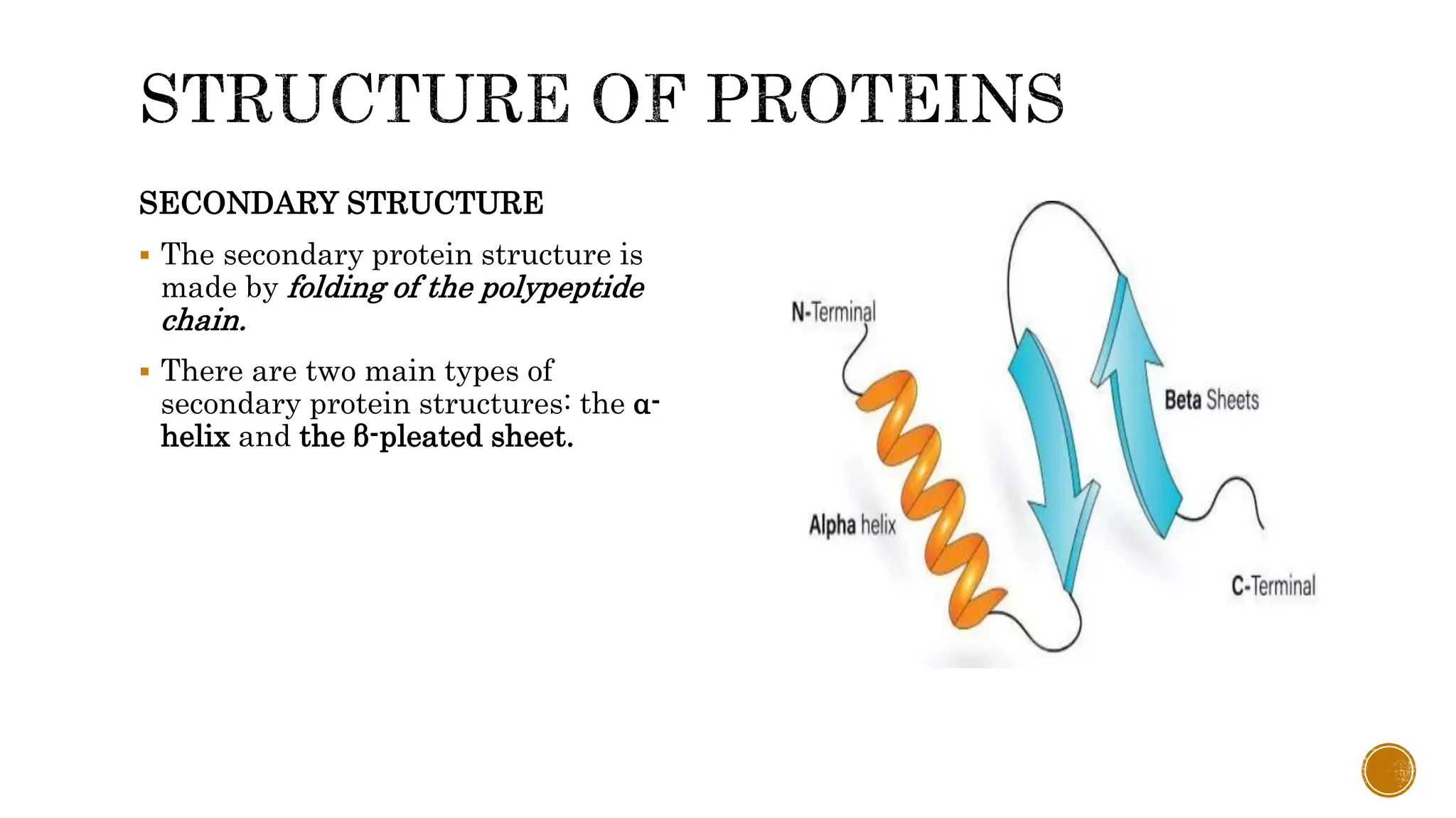 Protins Absorption digestion and absorption of proteins.pptx