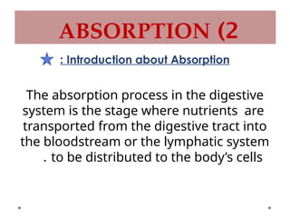 digestion and absorption process physiological.pptx