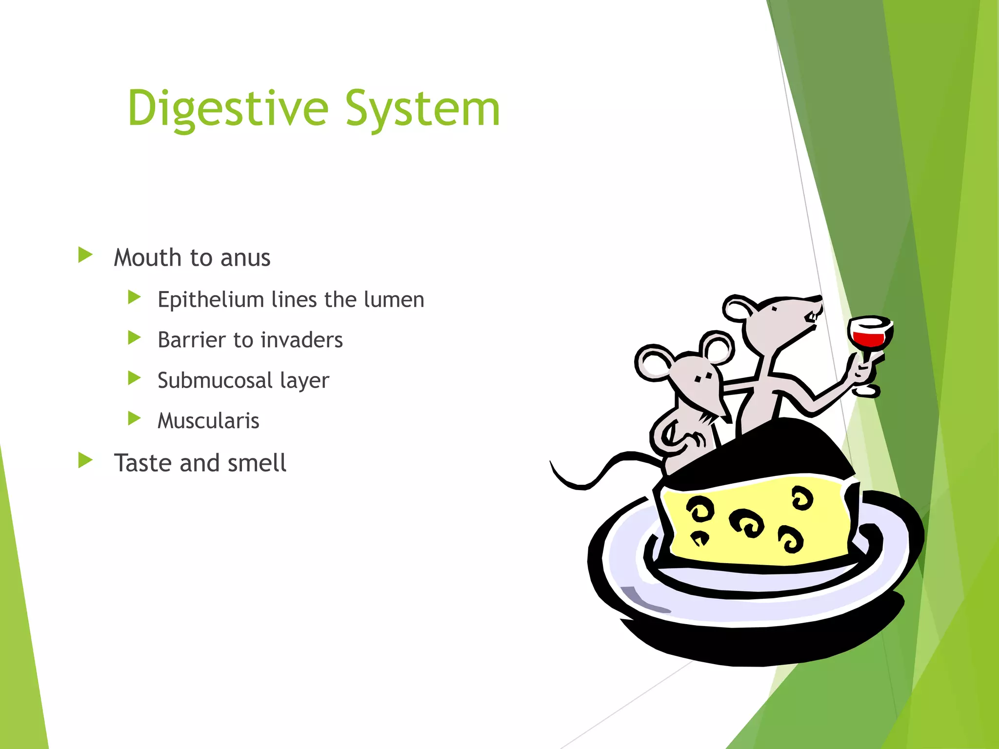 Digestion and absorption review k&m chapter1 | PPT