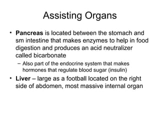 Assisting Organs
• Pancreas is located between the stomach and
sm intestine that makes enzymes to help in food
digestion and produces an acid neutralizer
called bicarbonate
– Also part of the endocrine system that makes
hormones that regulate blood sugar (insulin)
• Liver – large as a football located on the right
side of abdomen, most massive internal organ
 