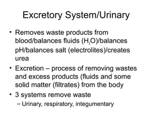 Excretory System/Urinary
• Removes waste products from
blood/balances fluids (H2O)/balances
pH/balances salt (electrolites)/creates
urea
• Excretion – process of removing wastes
and excess products (fluids and some
solid matter (filtrates) from the body
• 3 systems remove waste
– Urinary, respiratory, integumentary
 