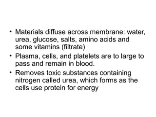 • Materials diffuse across membrane: water,
urea, glucose, salts, amino acids and
some vitamins (filtrate)
• Plasma, cells, and platelets are to large to
pass and remain in blood.
• Removes toxic substances containing
nitrogen called urea, which forms as the
cells use protein for energy
 