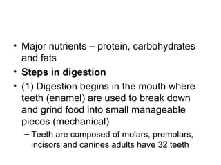 • Major nutrients – protein, carbohydrates
and fats
• Steps in digestion
• (1) Digestion begins in the mouth where
teeth (enamel) are used to break down
and grind food into small manageable
pieces (mechanical)
– Teeth are composed of molars, premolars,
incisors and canines adults have 32 teeth
 