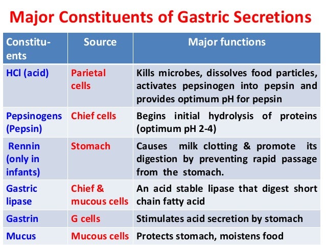 Digestion biochemistry