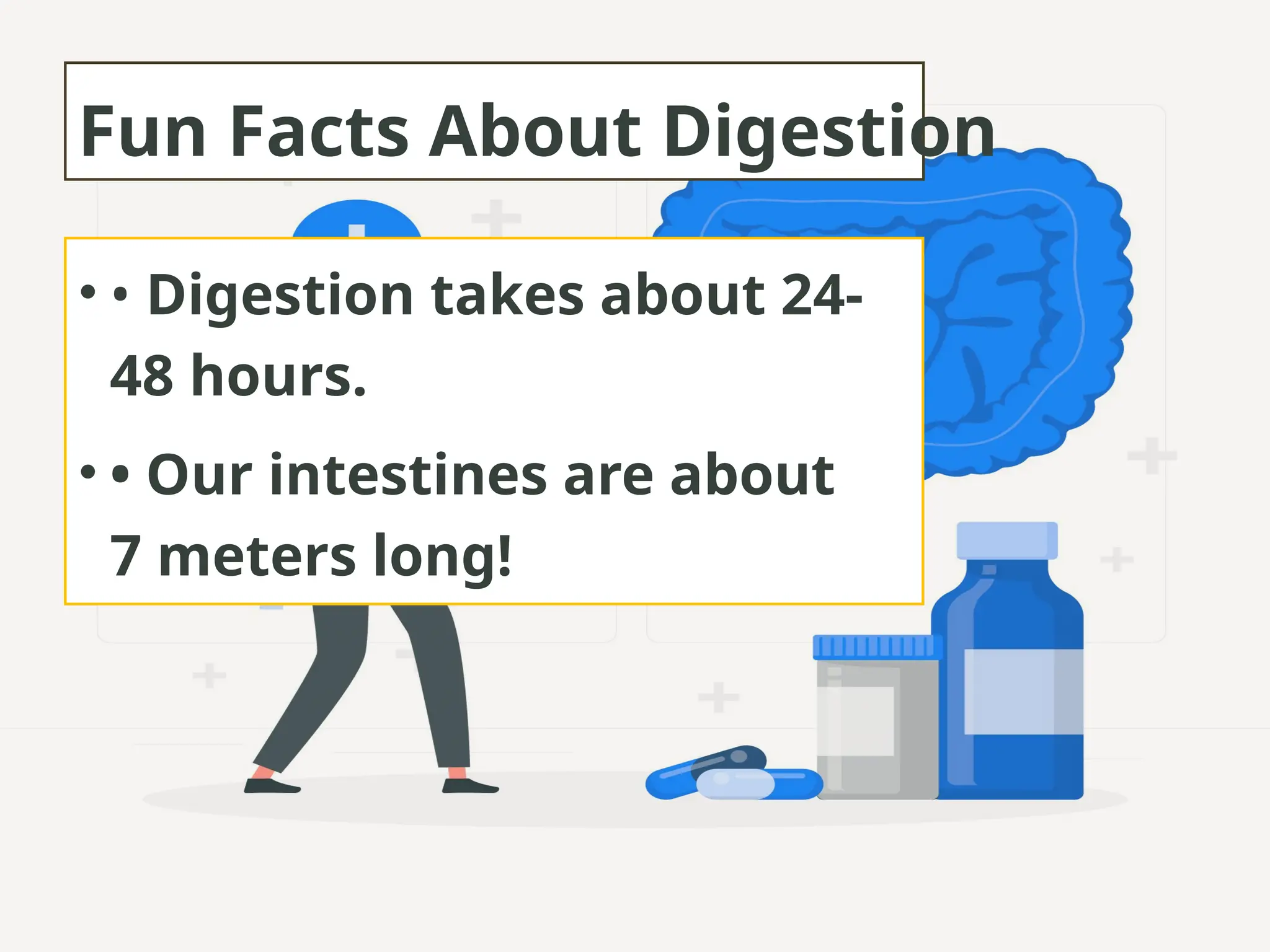 Digestion__Class4__Presentation (1).pptx