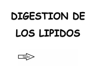DIGESTION DE
LOS LIPIDOS
 