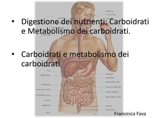 • Digestione dei nutrienti; Carboidrati
e Metabolismo dei carboidrati.
• Carboidrati e metabolismo dei
carboidrati
Francesca Fava
 