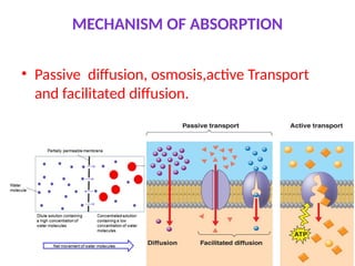 Diffusion Absorption DIGESTION ,ABSORTION AND ASSIMILATION OF NUTRIENTS | PPTX