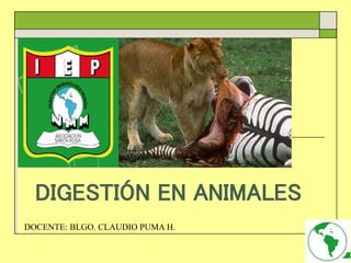 DIGESTIÓN EN ANIMALES
DOCENTE: BLGO. CLAUDIO PUMA H.
 