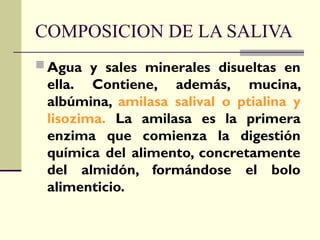 COMPOSICION DE LA SALIVA
 Agua y sales minerales disueltas en
ella. Contiene, además, mucina,
albúmina, amilasa salival o ptialina y
lisozima. La amilasa es la primera
enzima que comienza la digestión
química del alimento, concretamente
del almidón, formándose el bolo
alimenticio.
 
