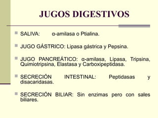 JUGOS DIGESTIVOS
 SALIVA: α-amilasa o Ptialina.
 JUGO GÁSTRICO: Lipasa gástrica y Pepsina.
 JUGO PANCREÁTICO: α-amilasa, Lipasa, Tripsina,
Quimiotripsina, Elastasa y Carboxipeptidasa.
 SECRECIÓN INTESTINAL: Peptidasas y
disacaridasas.
 SECRECIÓN BILIAR: Sin enzimas pero con sales
biliares.
 