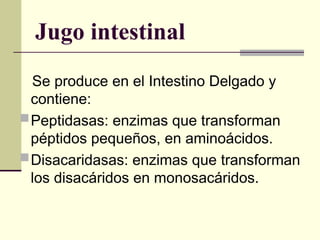 Jugo intestinal
Se produce en el Intestino Delgado y
contiene:
Peptidasas: enzimas que transforman
péptidos pequeños, en aminoácidos.
Disacaridasas: enzimas que transforman
los disacáridos en monosacáridos.
 