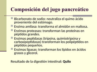 Composición del jugo pancreático
 Bicarbonato de sodio: neutraliza el quimo ácido
proveniente del estómago.
 Enzima amilasa: transforma el almidón en maltosa.
 Enzimas proteasas: transforman las proteínas en
péptidos grandes.
 Enzimas peptidasas (tripsina, quimiotripsina y
carboxipeptidasas) transforman los polipéptidos en
péptidos pequeños.
 Enzimas lipasas: transforman los lípidos en ácidos
grasos y glicerol.
Resultado de la digestión intestinal: Quilo
 