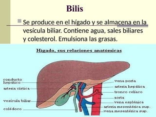 Bilis
 Se produce en el hígado y se almacena en la
vesícula biliar. Contiene agua, sales biliares
y colesterol. Emulsiona las grasas.
 