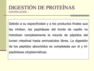 DIGESTIÓN DE PROTEÍNAS
CONTINUACIÓN…
Debido a su especificidad y a los productos finales que
las inhiben, las peptidasas del borde de cepillo no
hidrolizan completamente la mezcla de péptidos del
lumen intestinal hasta aminoácidos libres. La digestión
de los péptidos absorbidos es completada por di y tri-
peptidasas citoplasmáticas.
 