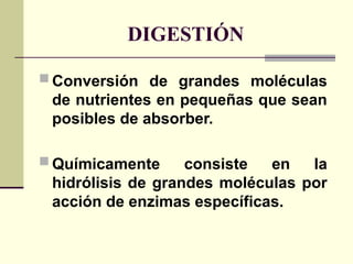 DIGESTIÓN
 Conversión de grandes moléculas
de nutrientes en pequeñas que sean
posibles de absorber.
 Químicamente consiste en la
hidrólisis de grandes moléculas por
acción de enzimas específicas.
 