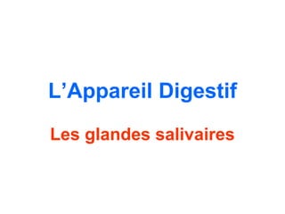L’Appareil Digestif
Les glandes salivaires
 