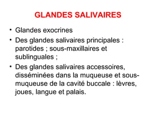 GLANDES SALIVAIRES
• Glandes exocrines
• Des glandes salivaires principales :
  parotides ; sous-maxillaires et
  sublinguales ;
• Des glandes salivaires accessoires,
  disséminées dans la muqueuse et sous-
  muqueuse de la cavité buccale : lèvres,
  joues, langue et palais.
 