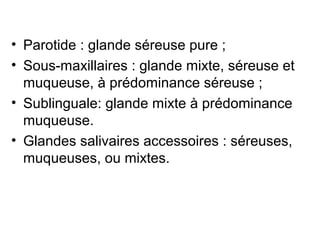 • Parotide : glande séreuse pure ;
• Sous-maxillaires : glande mixte, séreuse et
  muqueuse, à prédominance séreuse ;
• Sublinguale: glande mixte à prédominance
  muqueuse.
• Glandes salivaires accessoires : séreuses,
  muqueuses, ou mixtes.
 