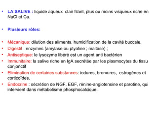 •   LA SALIVE : liquide aqueux clair filant, plus ou moins visqueux riche en
    NaCl et Ca.

•   Plusieurs rôles:

•   Mécanique: dilution des aliments, humidification de la cavité buccale.
•   Digestif : enzymes (amylase ou ptyaline ; maltase) ;
•   Antiseptique: le lysozyme libéré est un agent anti bactérien
•   Immunitaire: la salive riche en IgA secrétée par les plasmocytes du tissu
    conjonctif
•   Elimination de certaines substances: iodures, bromures, estrogènes et
    corticoïdes.
•   Endocrine : sécrétion de NGF, EGF, rénine-angiotensine et parotine, qui
    intervient dans métabolisme phosphocalcique.
 