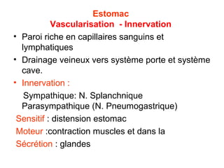 Estomac
           Vascularisation - Innervation
• Paroi riche en capillaires sanguins et
  lymphatiques
• Drainage veineux vers système porte et système
  cave.
• Innervation :
   Sympathique: N. Splanchnique
  Parasympathique (N. Pneumogastrique)
 Sensitif : distension estomac
 Moteur :contraction muscles et dans la
 Sécrétion : glandes
 