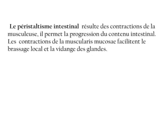 Le péristaltisme intestinal résulte des contractions de la
musculeuse, il permet la progression du contenu intestinal.
Les contractions de la muscularis mucosae facilitent le
brassage local et la vidange des glandes.
 