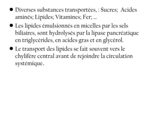 • Diverses substances transportées, : Sucres; Acides
  aminés; Lipides; Vitamines; Fer; …
• Les lipides émulsionnés en micelles par les sels
  biliaires, sont hydrolysés par la lipase pancréatique
  en triglycérides, en acides gras et en glycérol.
• Le transport des lipides se fait souvent vers le
  chylifère central avant de rejoindre la circulation
  systémique.
 