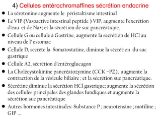 4) Cellules entérochromaffines sécrétion endocrine
• La sérotonine augmente le péristaltisme intestinal
• Le VIP (Vasoactive intestinal peptide ) VIP, augmente l’excrétion
  d’eau et de Na+; et la sécrétion de suc pancréatique.
• Cellule G ou cellule à Gastrine, augmente la sécrétion de HCl au
  niveau de l’ estomac
• Cellule D, secrète la Somatostatine, diminue la sécrétion du suc
  gastrique
• Cellule A2, sécrétion d’entéroglucagon
• La Cholécystokinine pancréatozymine (CCK –PZ), augmente la
  contraction de la vésicule biliaire ; et la sécrétion suc pancréatique.
• Sécrétine diminue la sécrétion HCl gastrique; augmente la sécrétion
  des cellules principales des glandes fundiques et augmente la
  sécrétion suc pancréatique
• Autres hormones intestinales: Substance P ; neurotensine ; motiline ;
  GIP ...
 