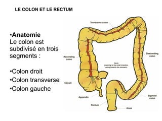 LE COLON ET LE RECTUM




•Anatomie
Le colon est
subdivisé en trois
segments :

•Colon droit
•Colon transverse
•Colon gauche
 
