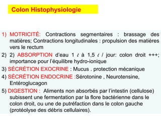 Colon Histophysiologie


1) MOTRICITÉ: Contractions segmentaires : brassage des
   matières; Contractions longitudinales : propulsion des matières
   vers le rectum
2) 2) ABSORPTION d’eau 1 l à 1,5 l / jour: colon droit +++;
   importance pour l’équilibre hydro-ionique
3) SÉCRÉTION EXOCRINE : Mucus . protection mécanique
4) SÉCRÉTION ENDOCRINE :Sérotonine , Neurotensine,
   Entéroglucagon
5) DIGESTION : Aliments non absorbés par l’intestin (cellulose)
   subissent une fermentation par la flore bactérienne dans le
   colon droit, ou une de putréfaction dans le colon gauche
   (protéolyse des débris cellulaires).
 
